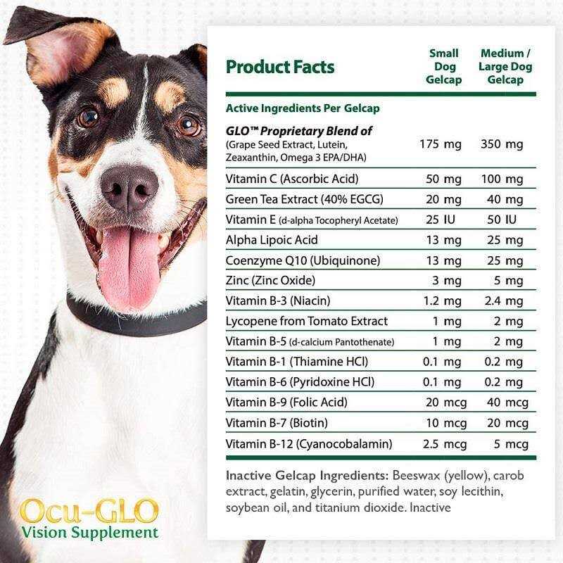 Alternative view of Ocu-gLO for Medium to Large Dogs