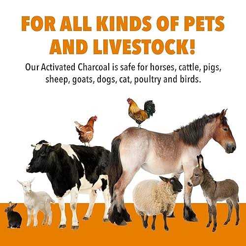 Alternative view of 1qt VetDtox Activated Charcoal Powder for Pets & Livestock for poisonings