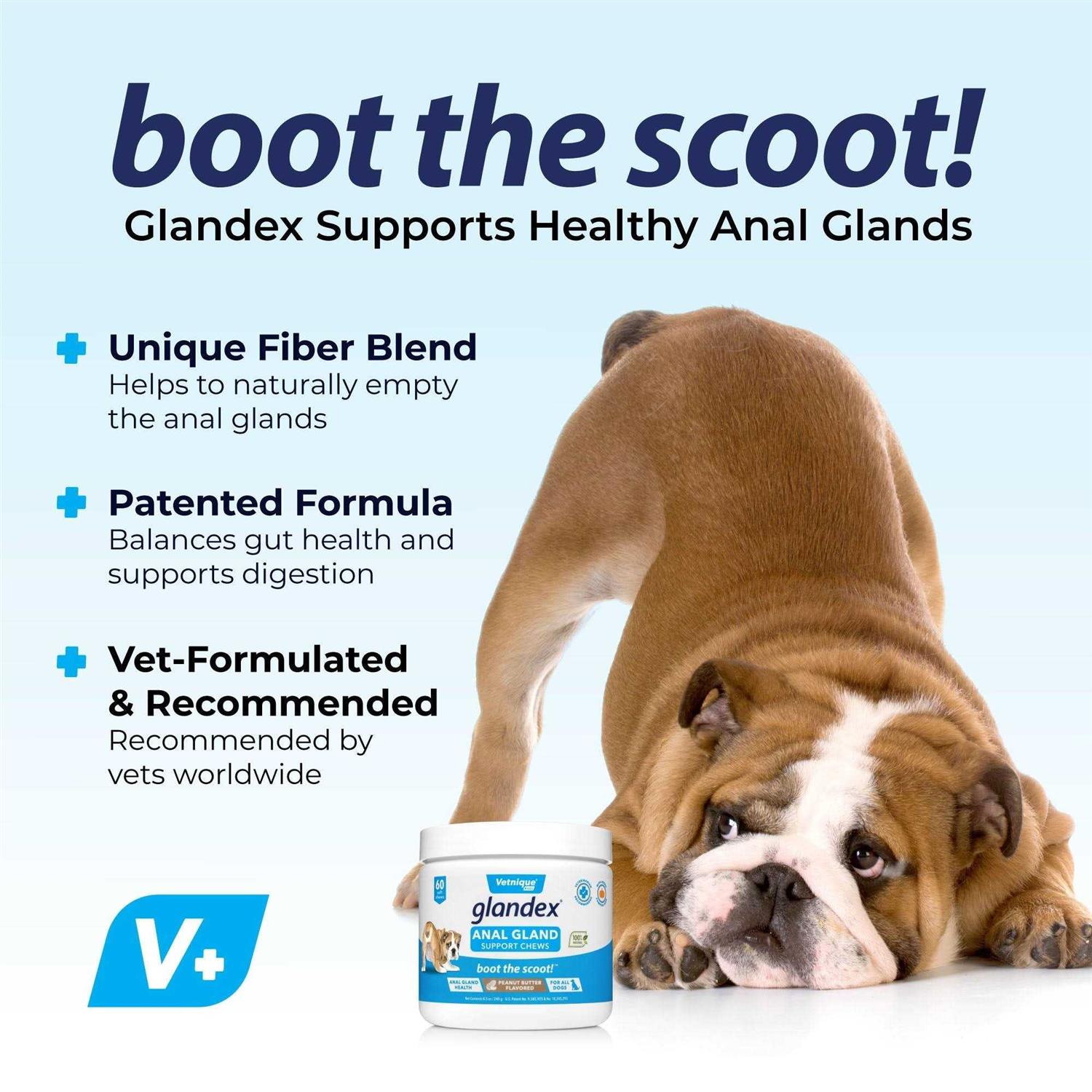 Alternative view of Glandex Anal Gland Support Peanut Butter Chews for Dogs