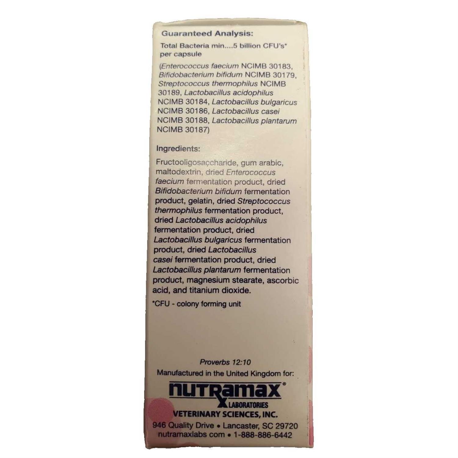 Alternative view of Nutramax Laboratories Cat Proviable Capsules Digestive Supplement