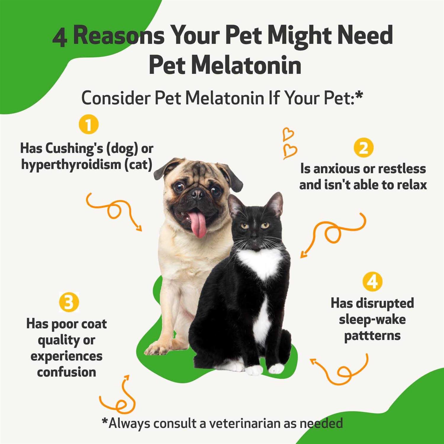 Alternative view of Pet Melatonin for Dogs