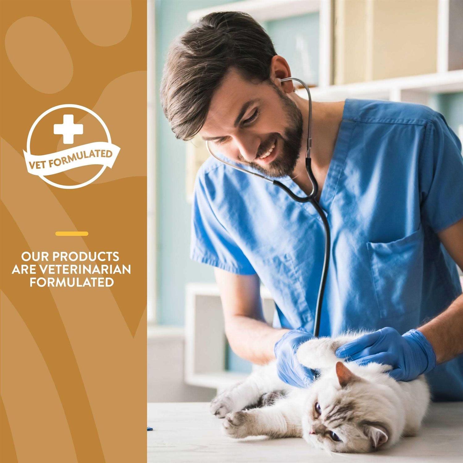 Alternative view of NaturVet Skin & Coat Plus Omegas for Cats