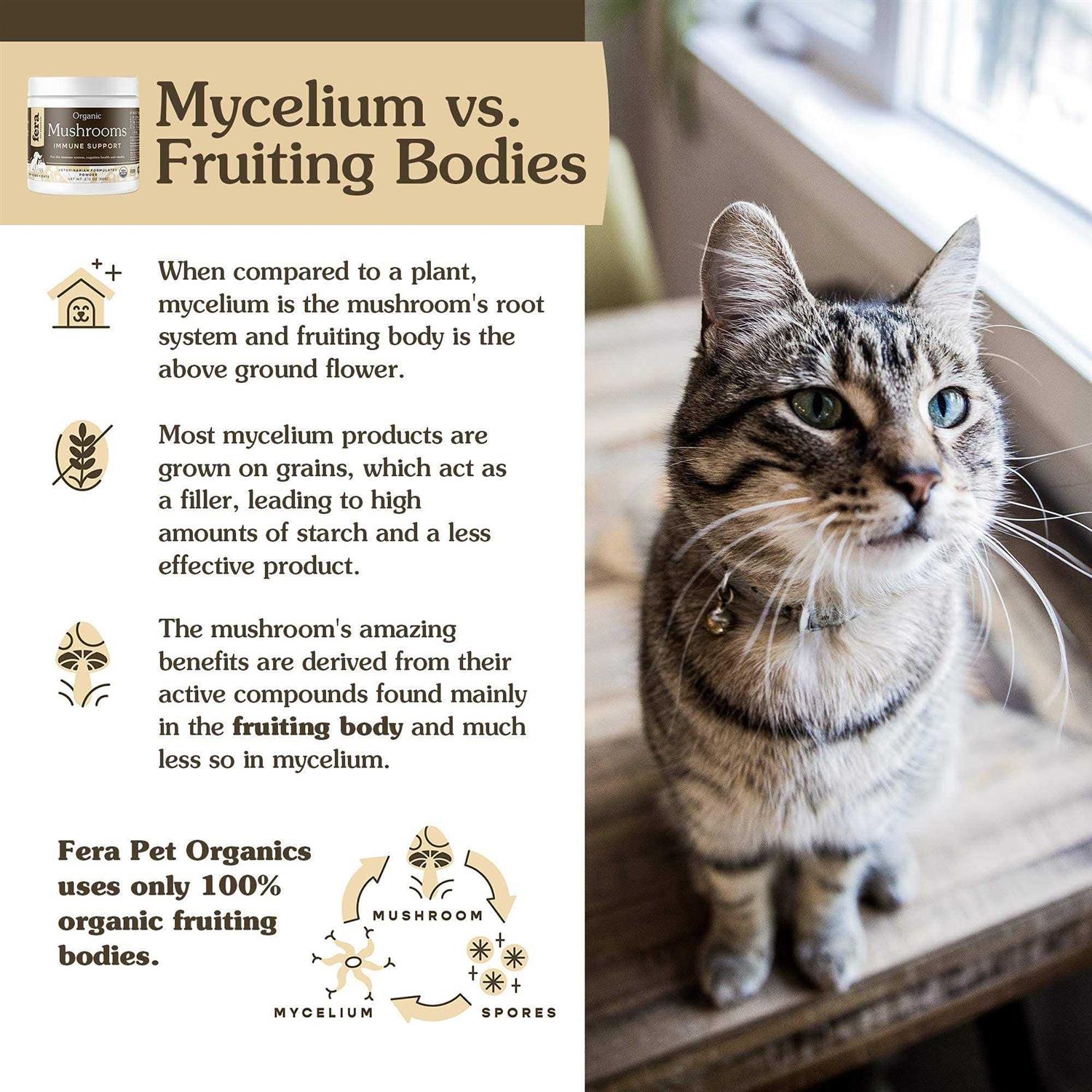 Alternative view of Fera Pet Organics USDA Organic Mushrooms Immune Support for Dogs & Cats