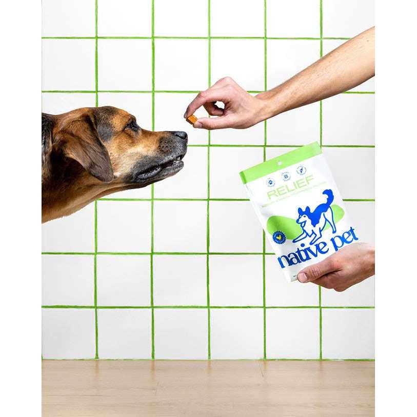 Alternative view of Native Pet Anti Inflammatory Supplement & Dog Joint Relief