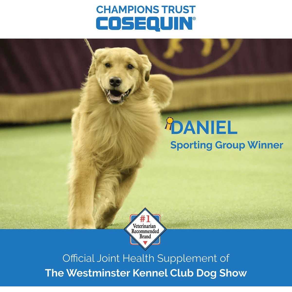 Alternative view of Cosequin Soft Chews with MSM Plus Omega-3s for Dogs