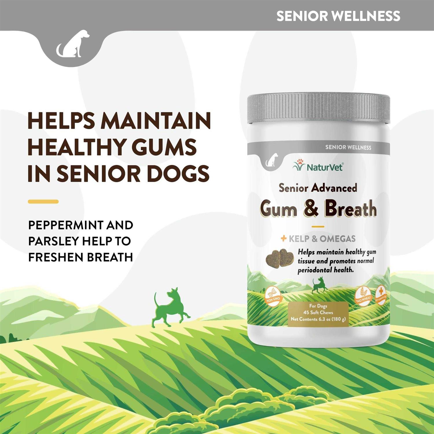 Alternative view of NaturVet Senior Advanced Gum & Breath Soft Dog Chews