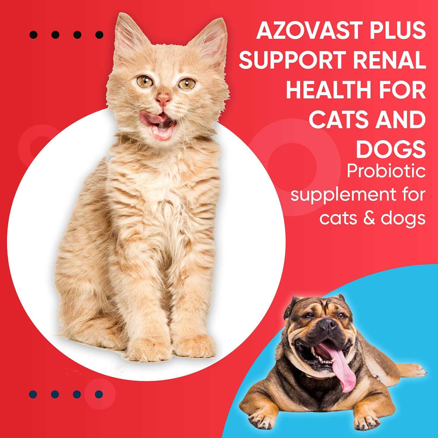 Alternative view of Pet Health Pharma Azovast Plus Kidney Health Supplement for Dogs & Cats Oral Paste