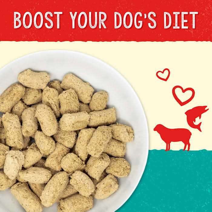 Alternative view of Stella & Chewy's Dog Solutions Skin & Coat Boost Lamb & Salmon 13oz