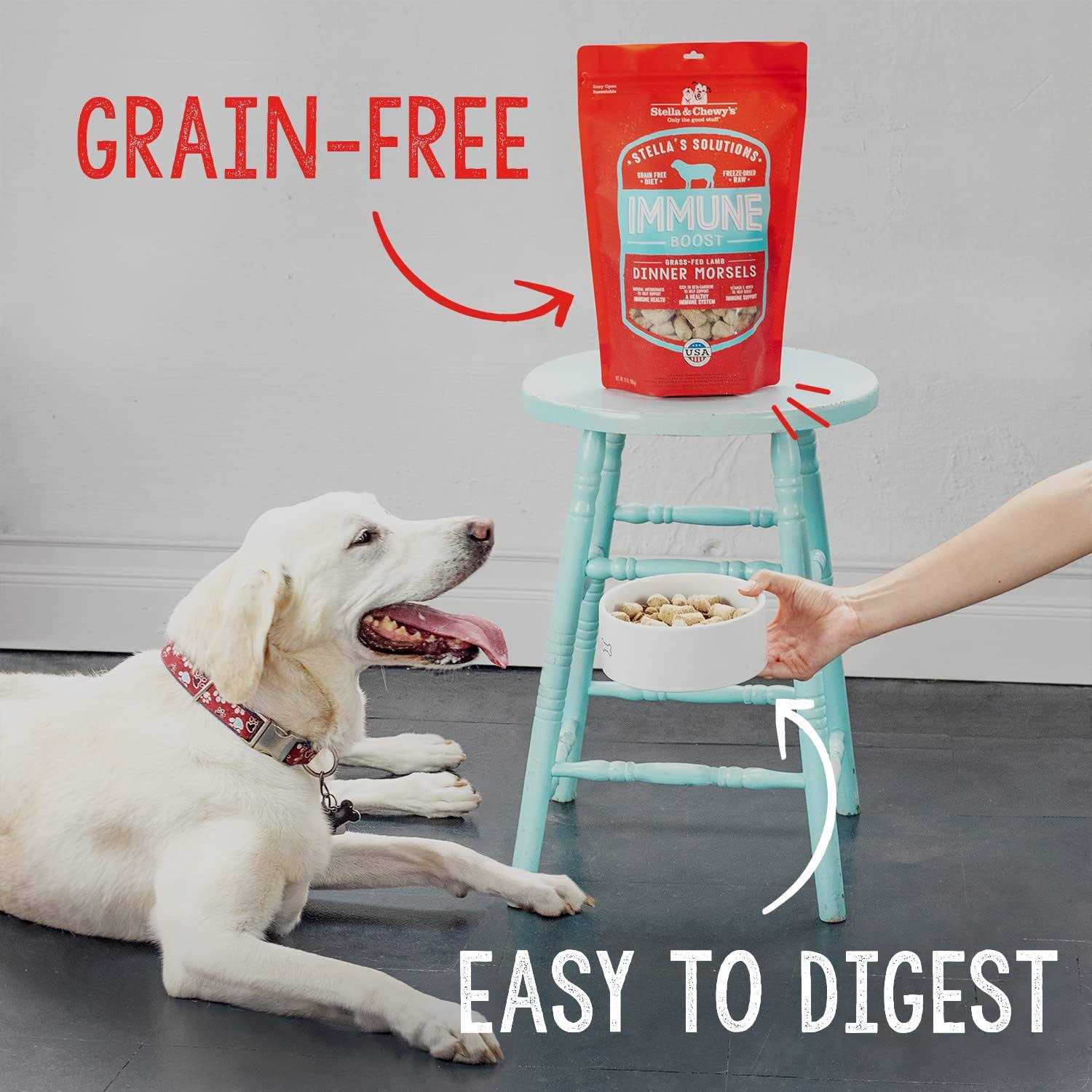 Alternative view of Stella & Chewy's Dog Solutions Skin & Coat Boost Lamb & Salmon 13oz