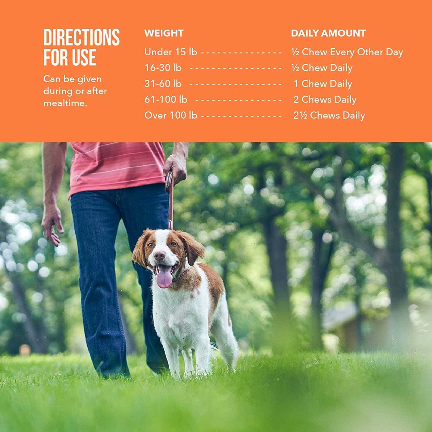 Alternative view of Synovi G4 Joint Supplement Soft Chews for Dogs