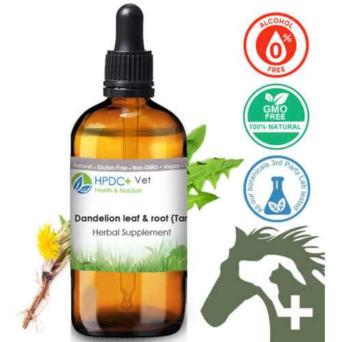 Alternative view of Pet Wellbeing -Dandelion Root for Cat Liver and Digestive Support