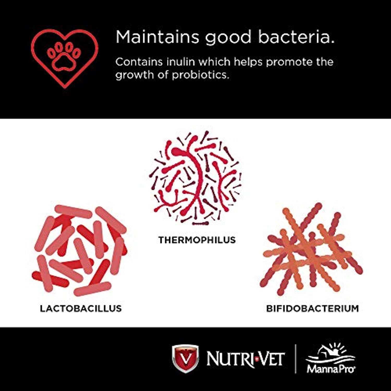 Alternative view of Nutri-Vet Probiotics for Dogs