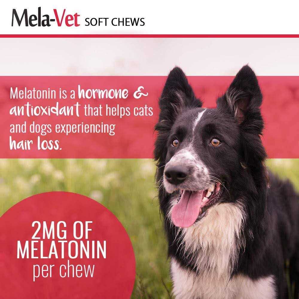 Alternative view of Mela-Vet Melatonin Soft Chews for Dogs & Cats