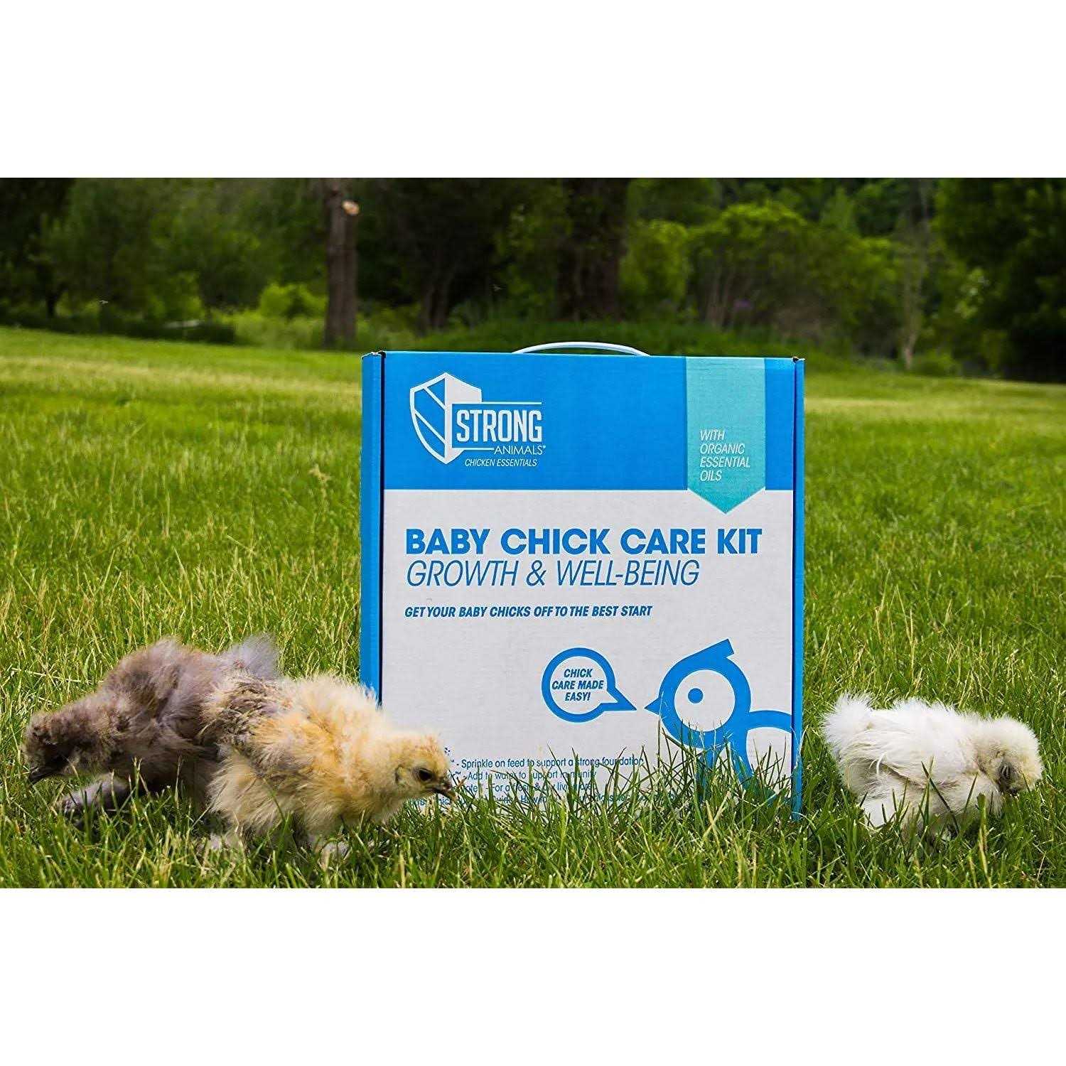 Alternative view of Strong Animals Baby Chick Care Kit