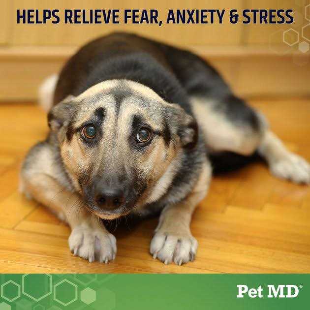Alternative view of Pet MD Calming Hemp Calming Supplement Soft Chew for Dogs