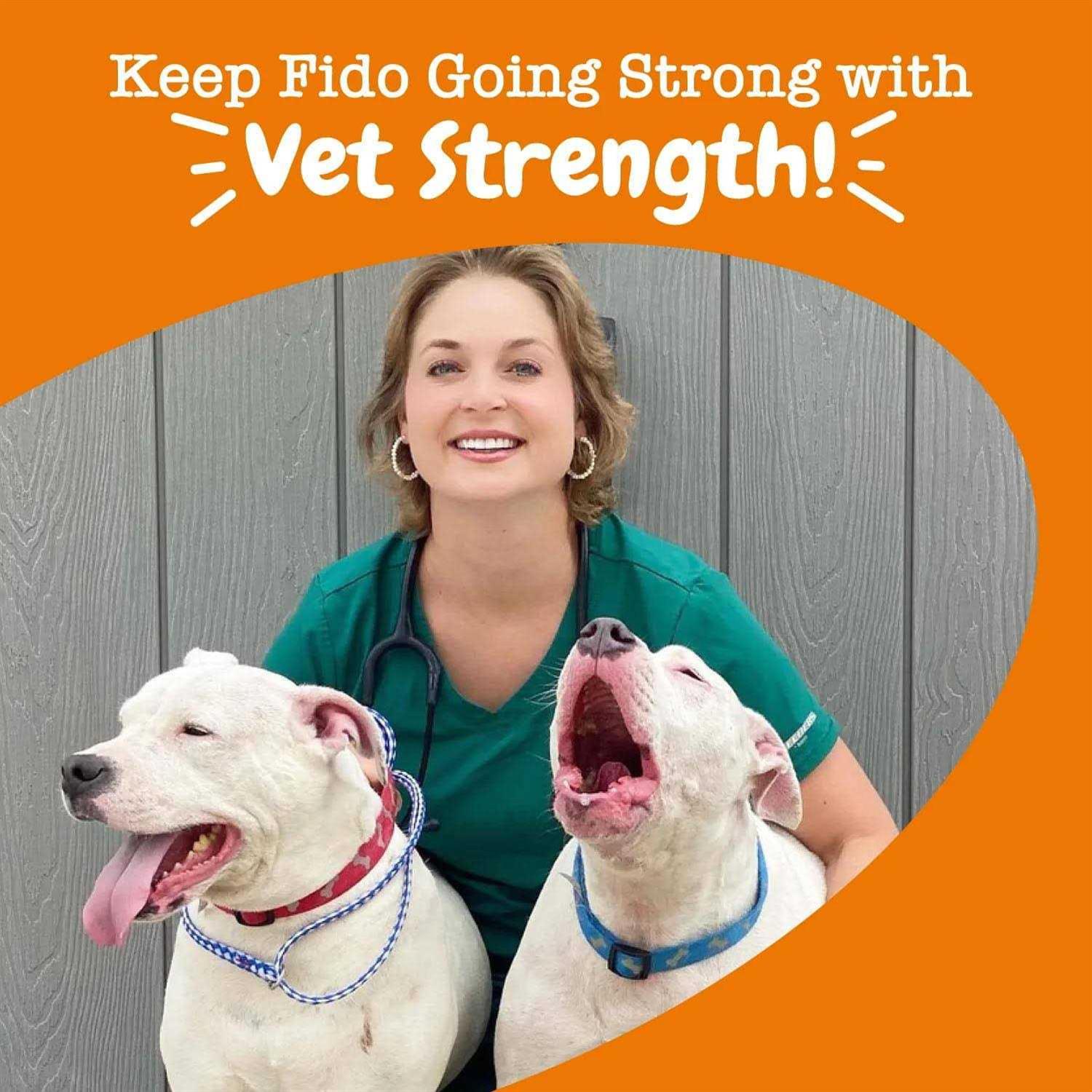 Alternative view of Zesty Paws Vet Strength Pre Post & Probiotic Gut Health Bites for Dogs