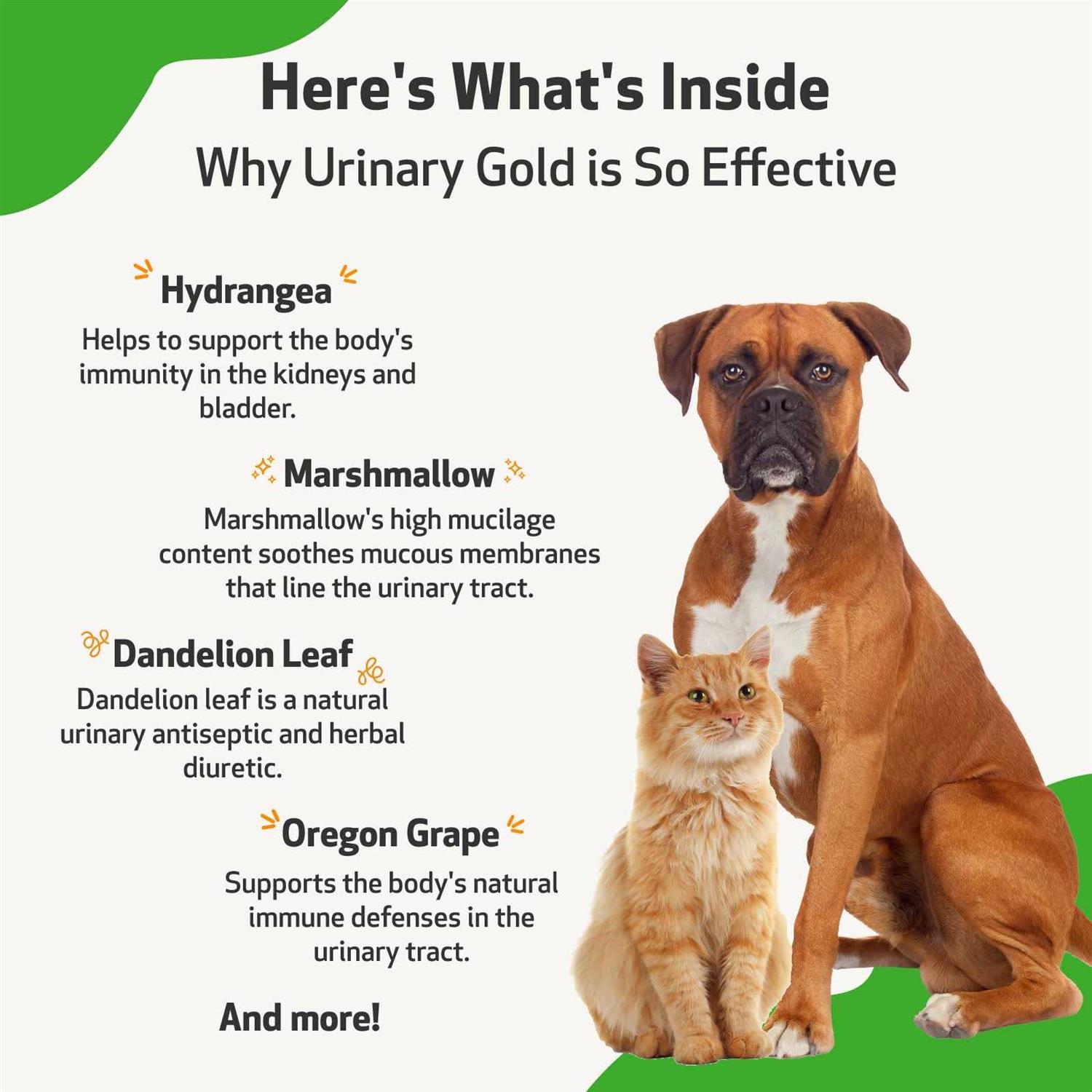 Alternative view of Pet Wellbeing Urinary Gold Urinary Tract Health