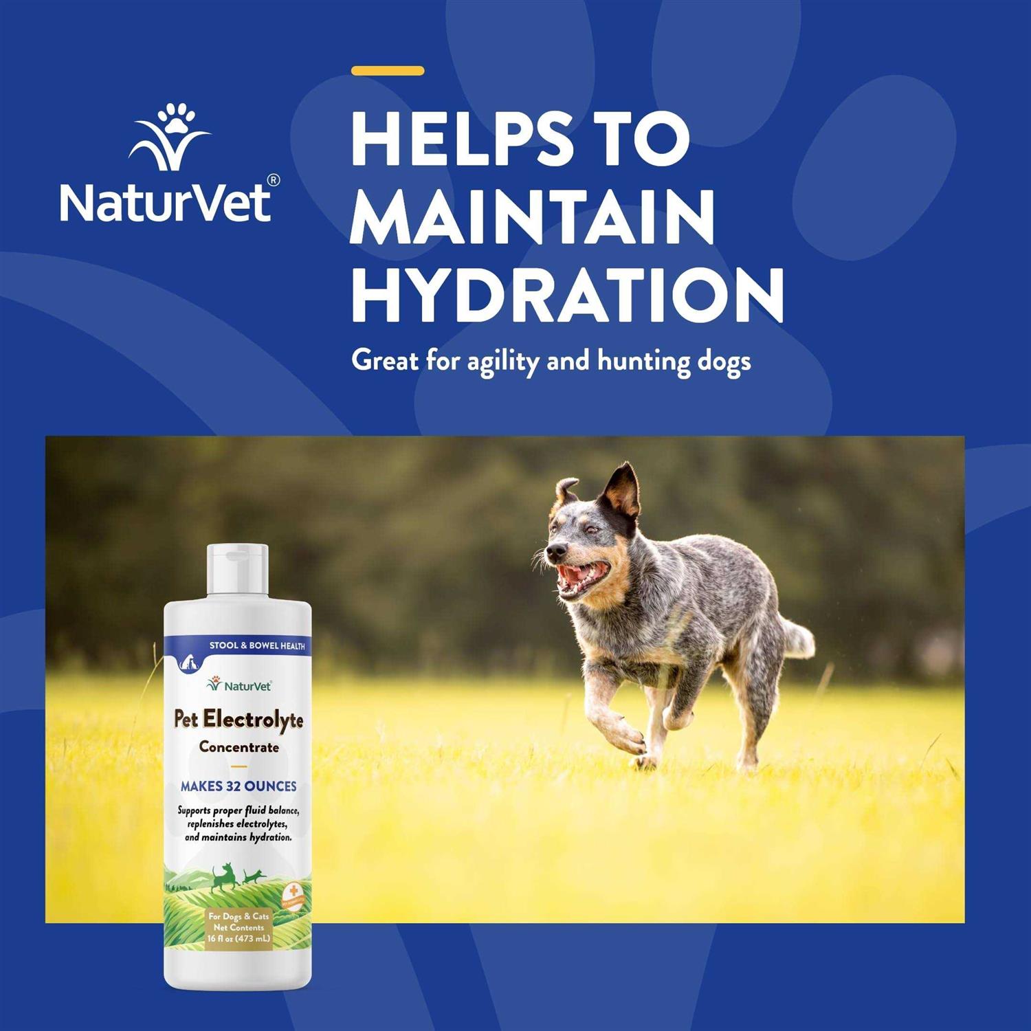 Alternative view of NaturVet Pet Electrolyte Concentrate 16 oz for Dogs & Cats