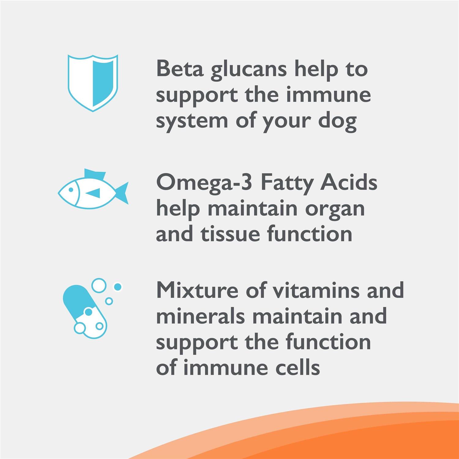 Alternative view of Nutramax Imuquin Immune Health Supplement Powder for Dogs
