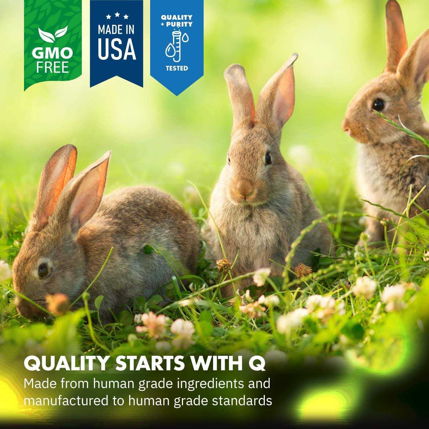 Alternative view of Equa Holistics HealthyGut Probiotics Rabbit Supplement