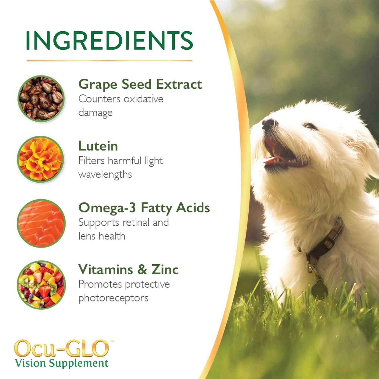 Alternative view of Ocu-GLO for Medium to Large Dogs