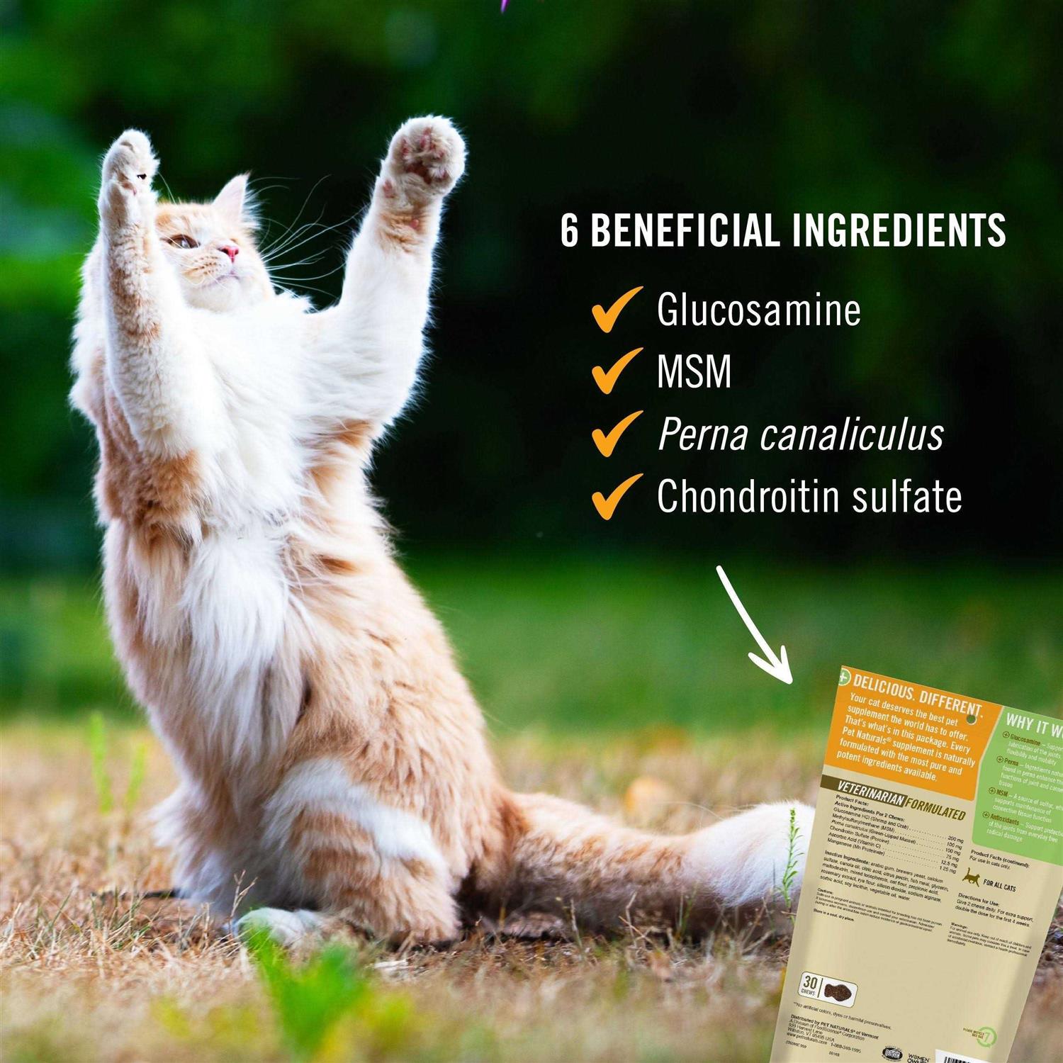 Alternative view of Pet Naturals of Vermont Hip + Joint for Cats