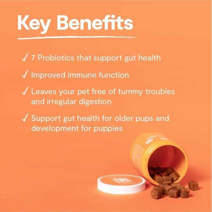 Alternative view of Open Farm Dog Supplement Probiotic Chews