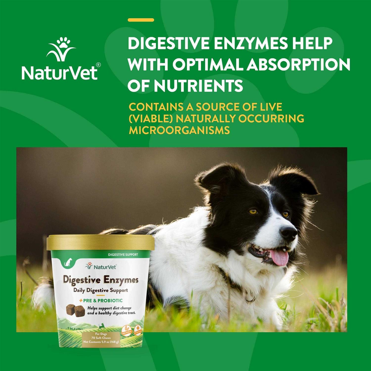 Alternative view of NaturVet Digestive Enzymes