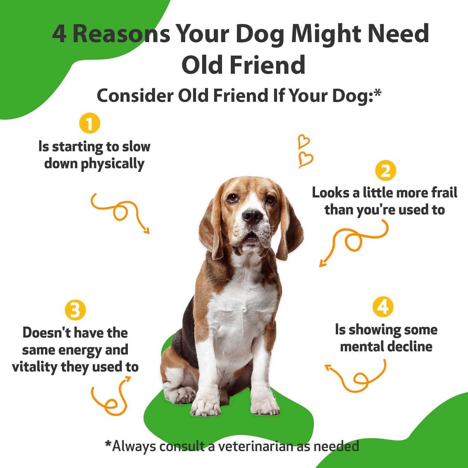 Alternative view of Pet Wellbeing Old Friend for Senior Dogs