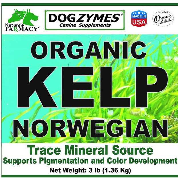 Alternative view of Dogzymes Organic Norwegian Kelp with Organic Garlic