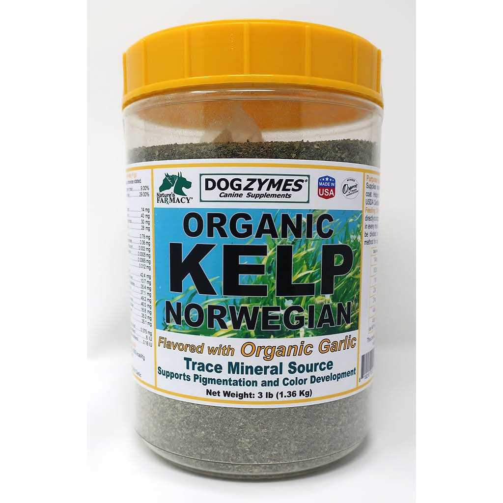 Dogzymes Organic Norwegian Kelp with Organic Garlic