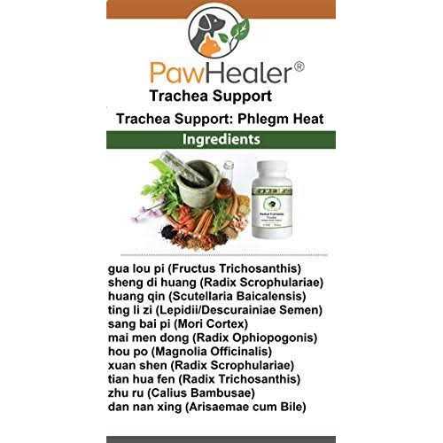 Alternative view of PawHealer Trachea Support Dog Cough Remedy