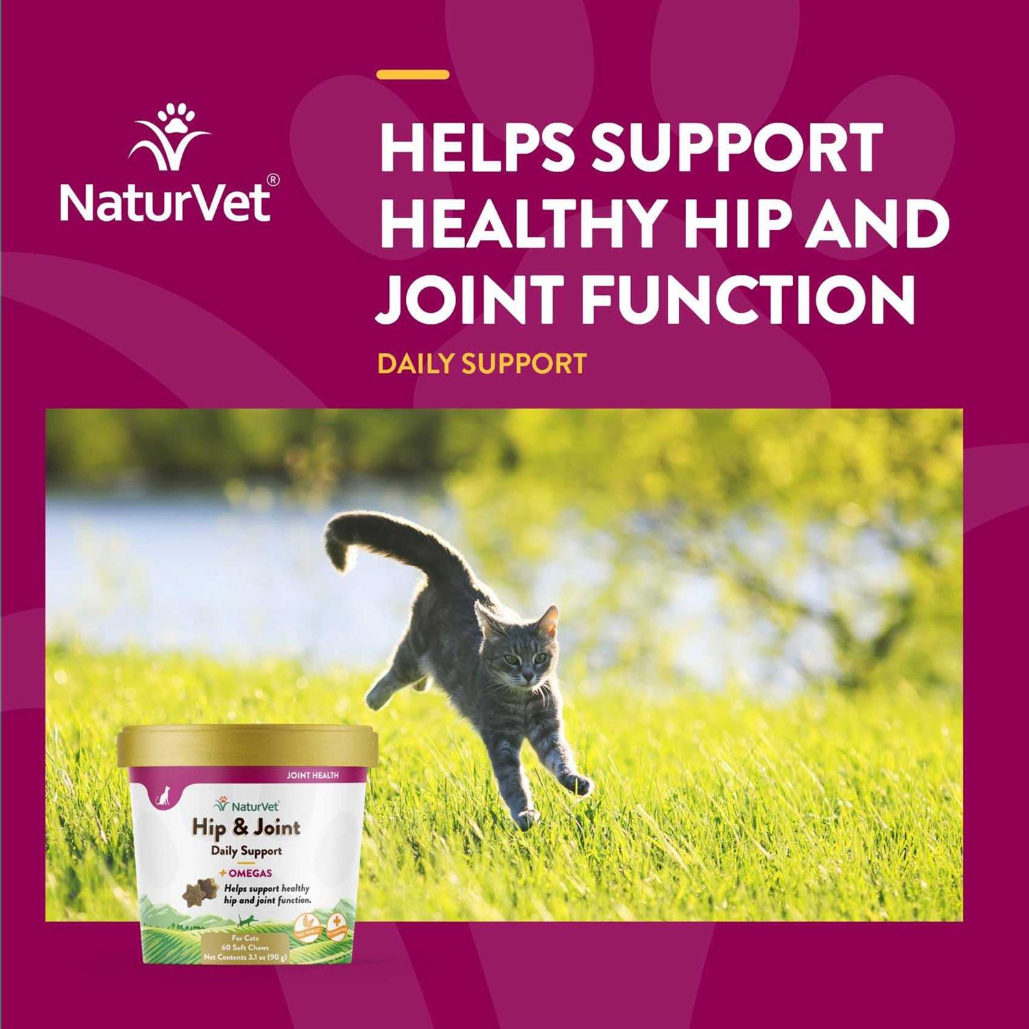 Alternative view of NaturVet Hip & Joint Plus Omegas Soft Chews Cat Supplement