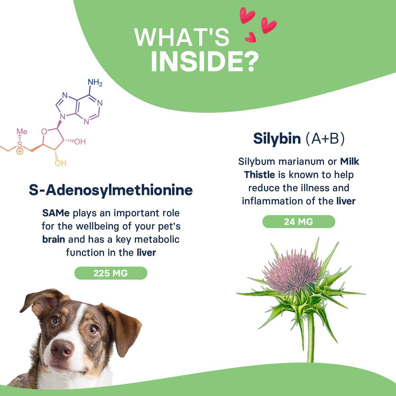 Alternative view of Silymarin Advanced Dogs and 30 tablets