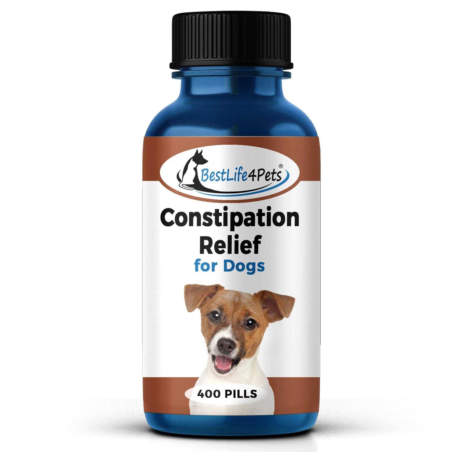 Natural Dog Laxative & Constipation Treatment // Bestlife4pets