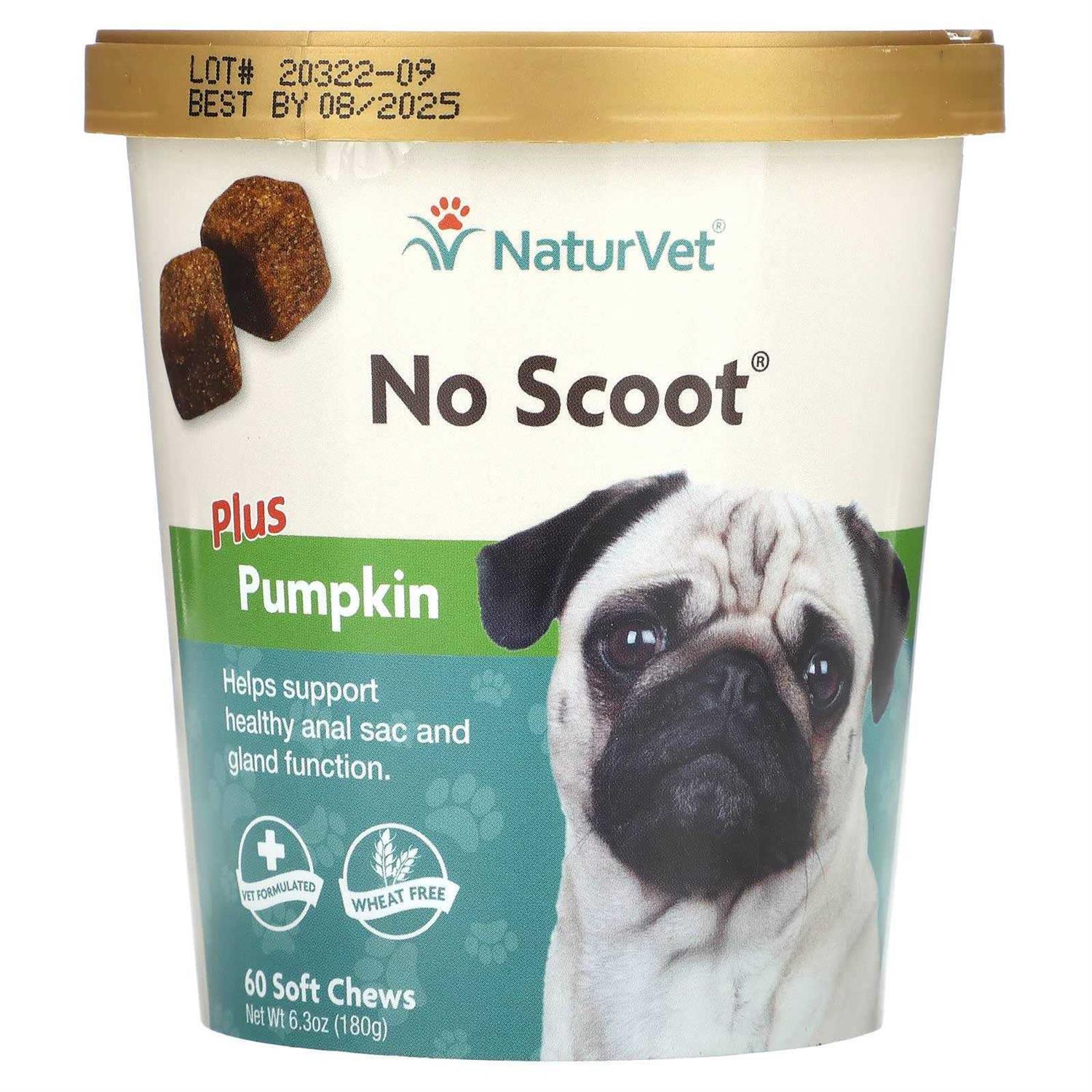 NaturVet No Scoot Plus Pumpkin for Dogs