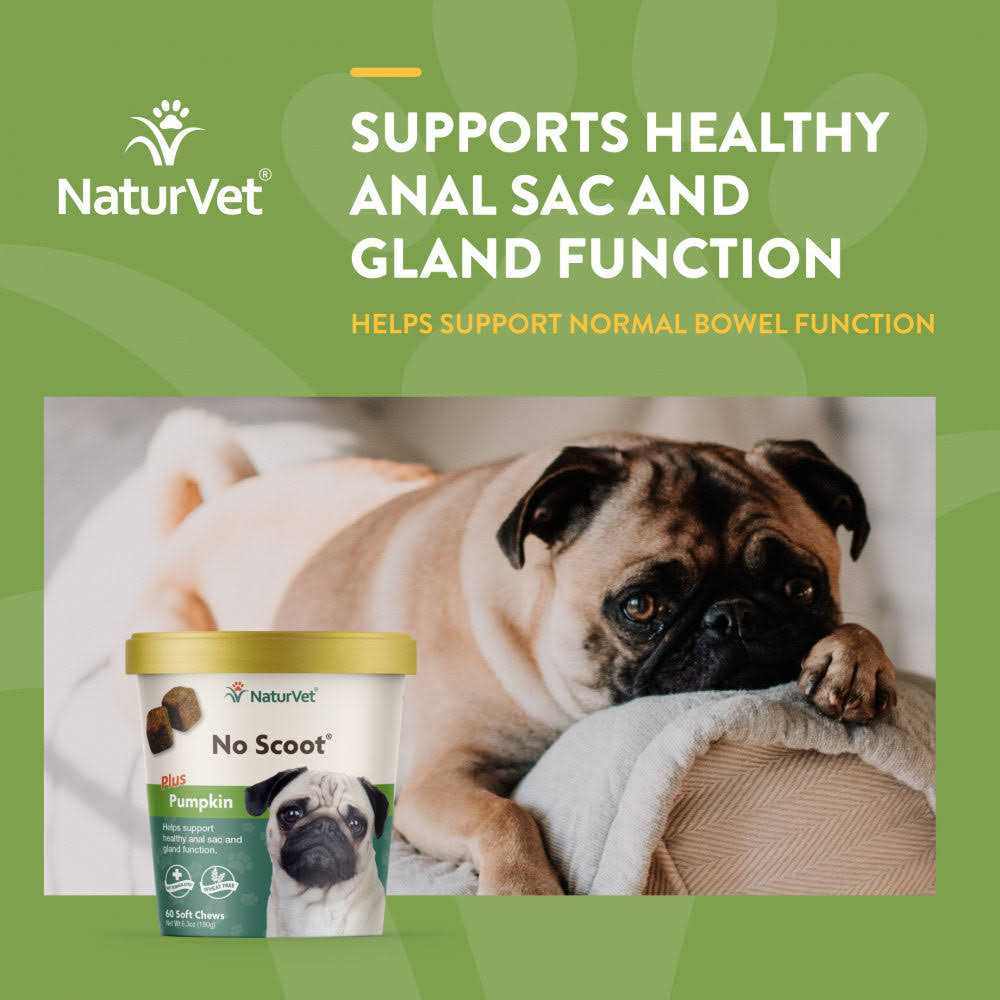 Alternative view of NaturVet No Scoot Plus Pumpkin for Dogs