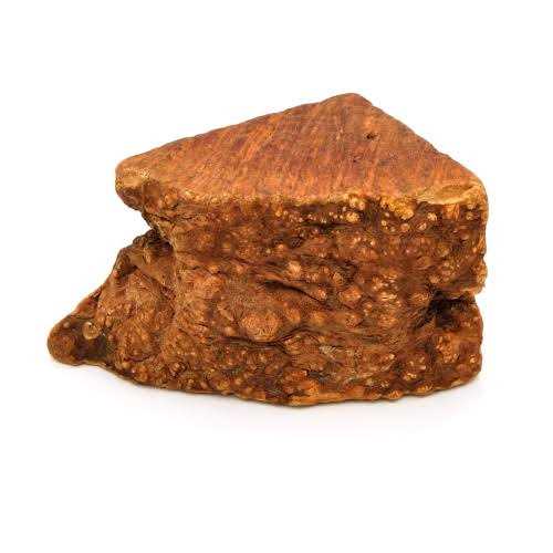 Alternative view of Little Loyals Premium Heather Tree Wood Dog Chew