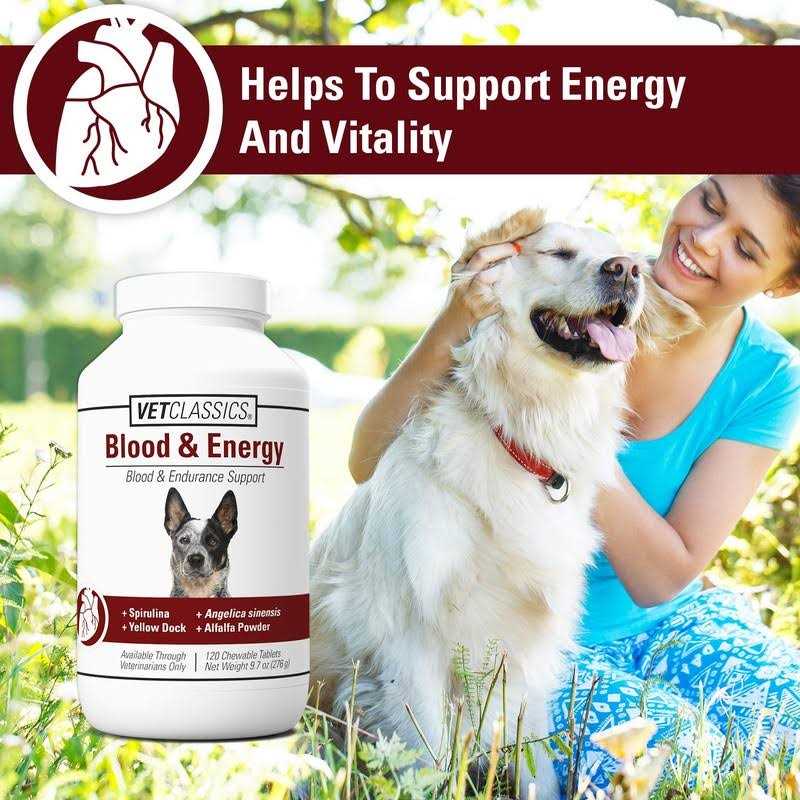 Alternative view of VetClassics Blood & Energy Support