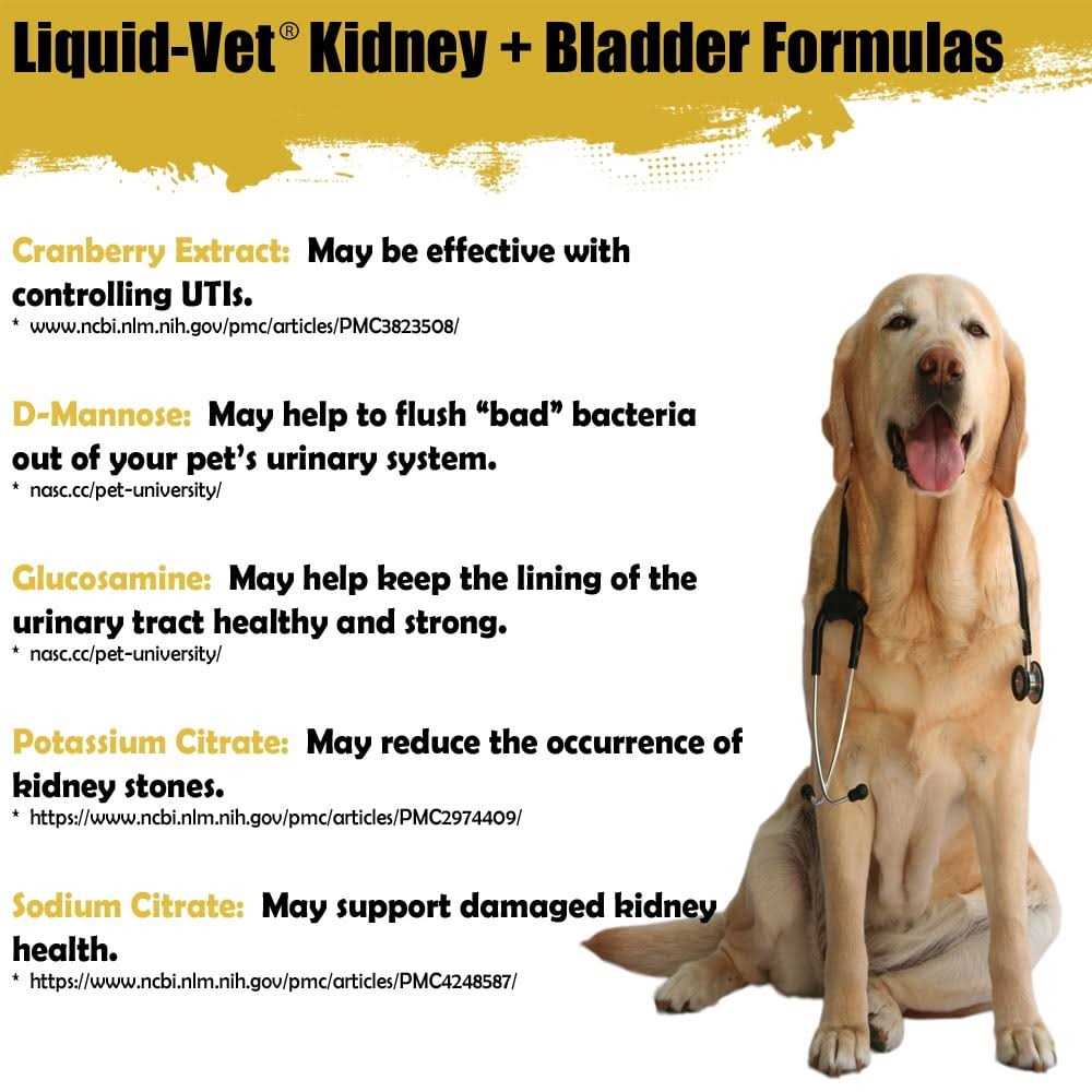 Alternative view of Liquid Vet Feline Kidney & Bladder Support