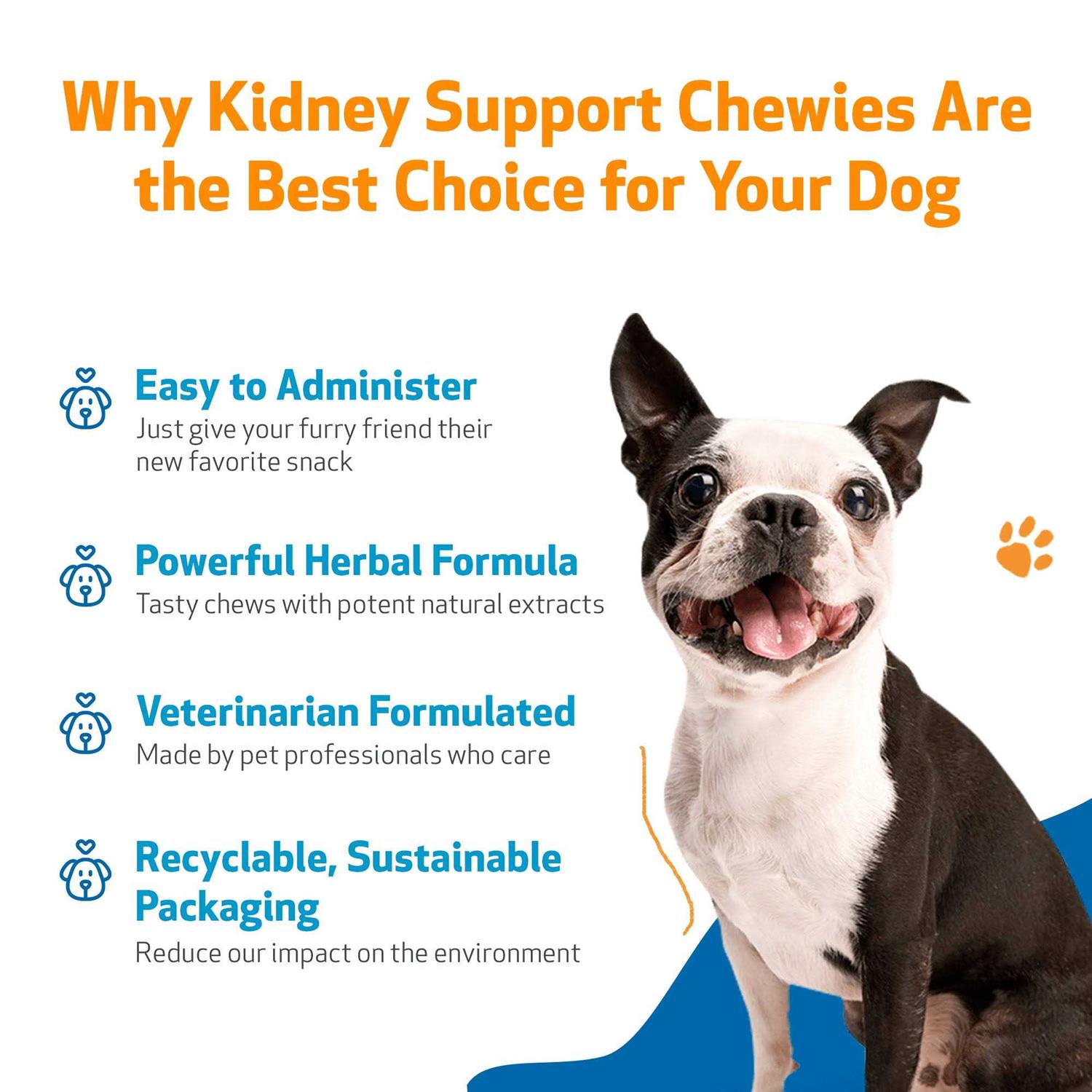 Alternative view of Kidney Support Chewies for Dogs by Pet Wellbeing