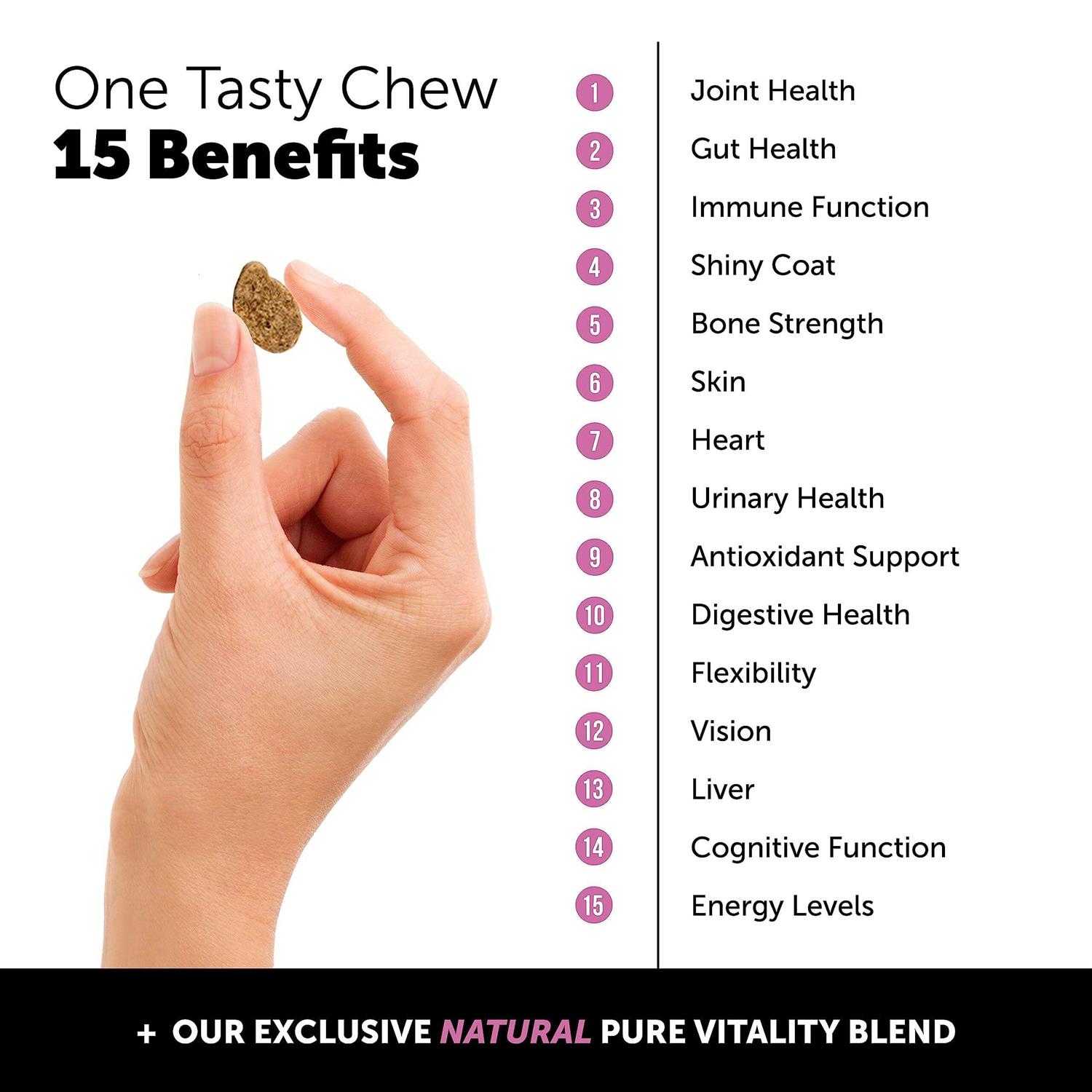 Alternative view of Pet Honesty Dog Multivitamin Max Strength Glucosamine Chews