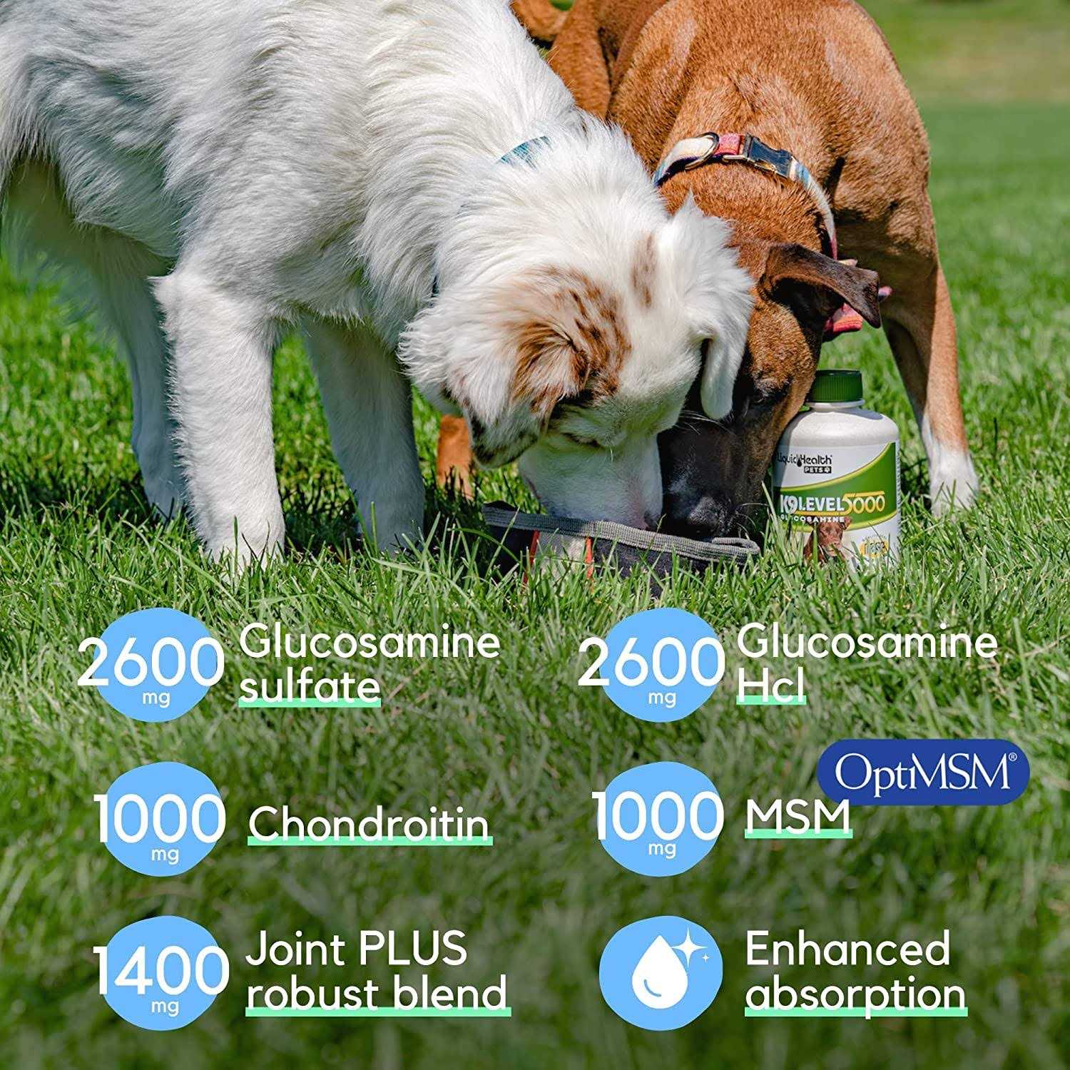 Alternative view of Liquid Health K9 Level 5000 Glucosamine