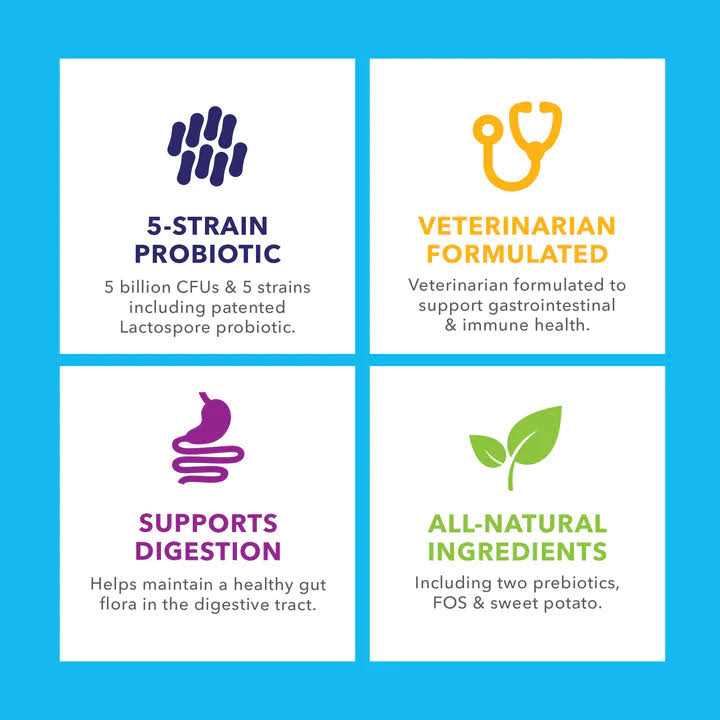 Alternative view of Profivex Probiotic Powder for Dogs & Cats