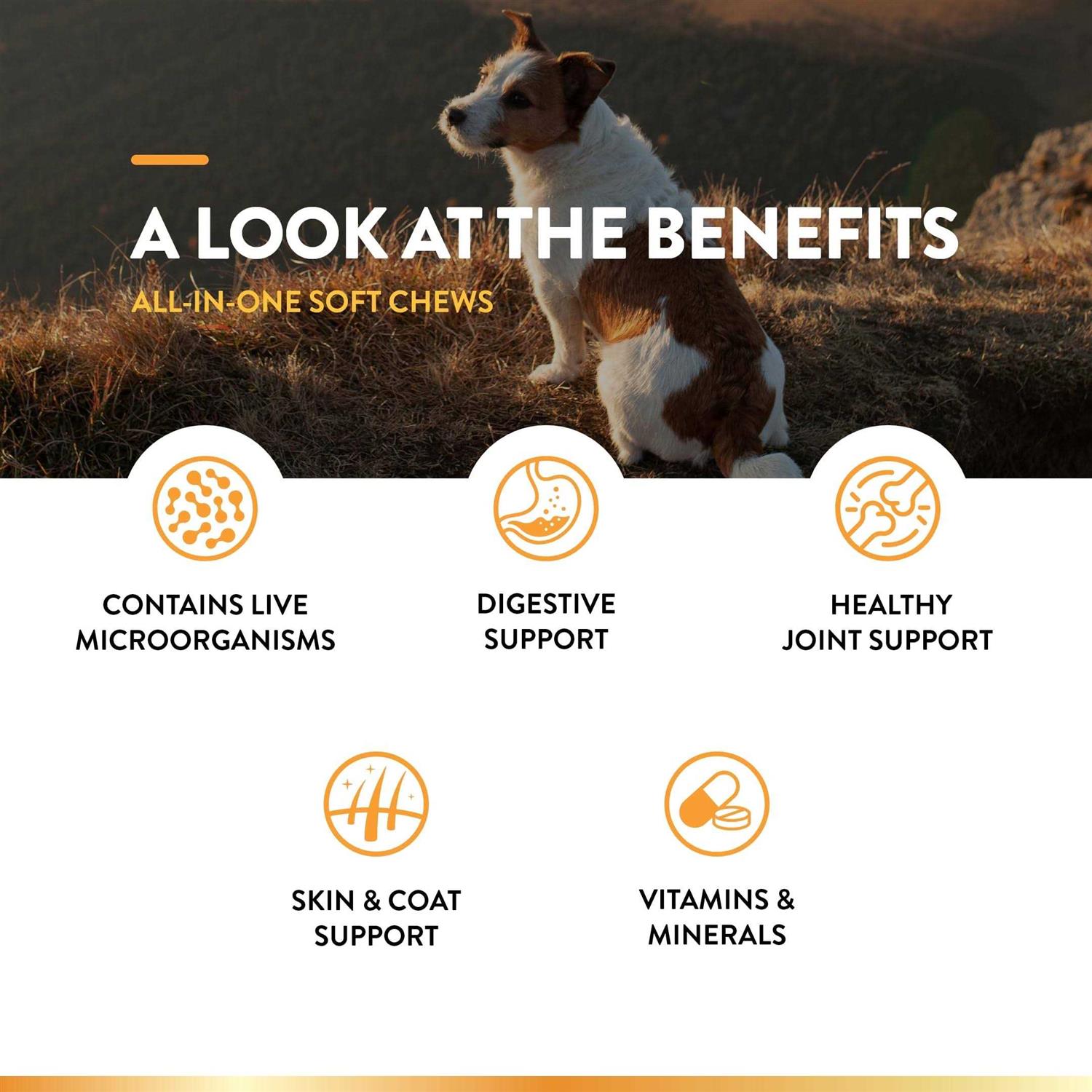 Alternative view of NaturVet All-in-One Dog Supplement for Joint Support Digestion