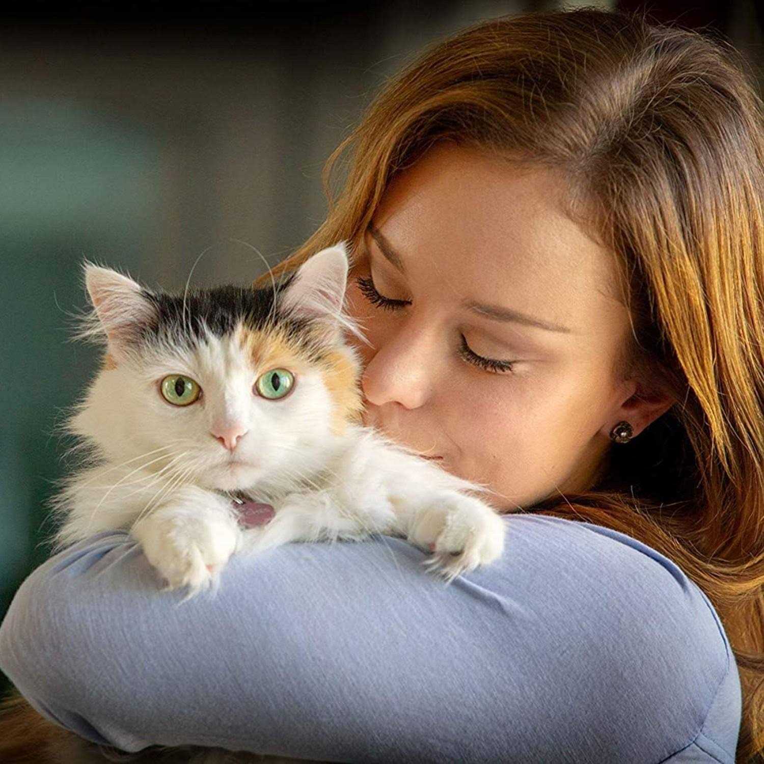 Alternative view of In Clover Spry Respiratory and Ocular Support Soft Chews for Cats