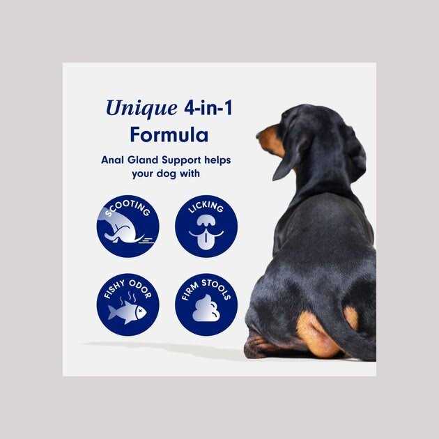 Alternative view of PetLab Co. Anal Gland Support Powder Supplement for Dogs