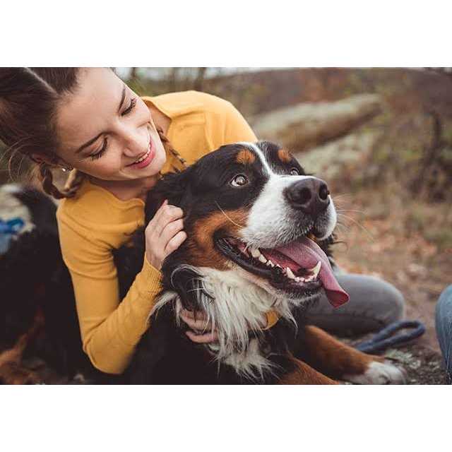 Alternative view of NaturVet Advanced Probiotics Enzymes