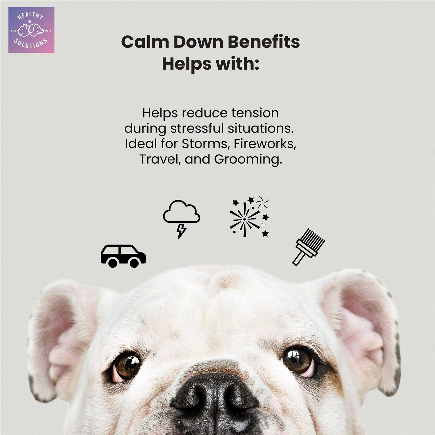 Alternative view of Healthy Solutions for Pets Dog Calming Aid Soft Chew Supplement with Ginger and Melatonin