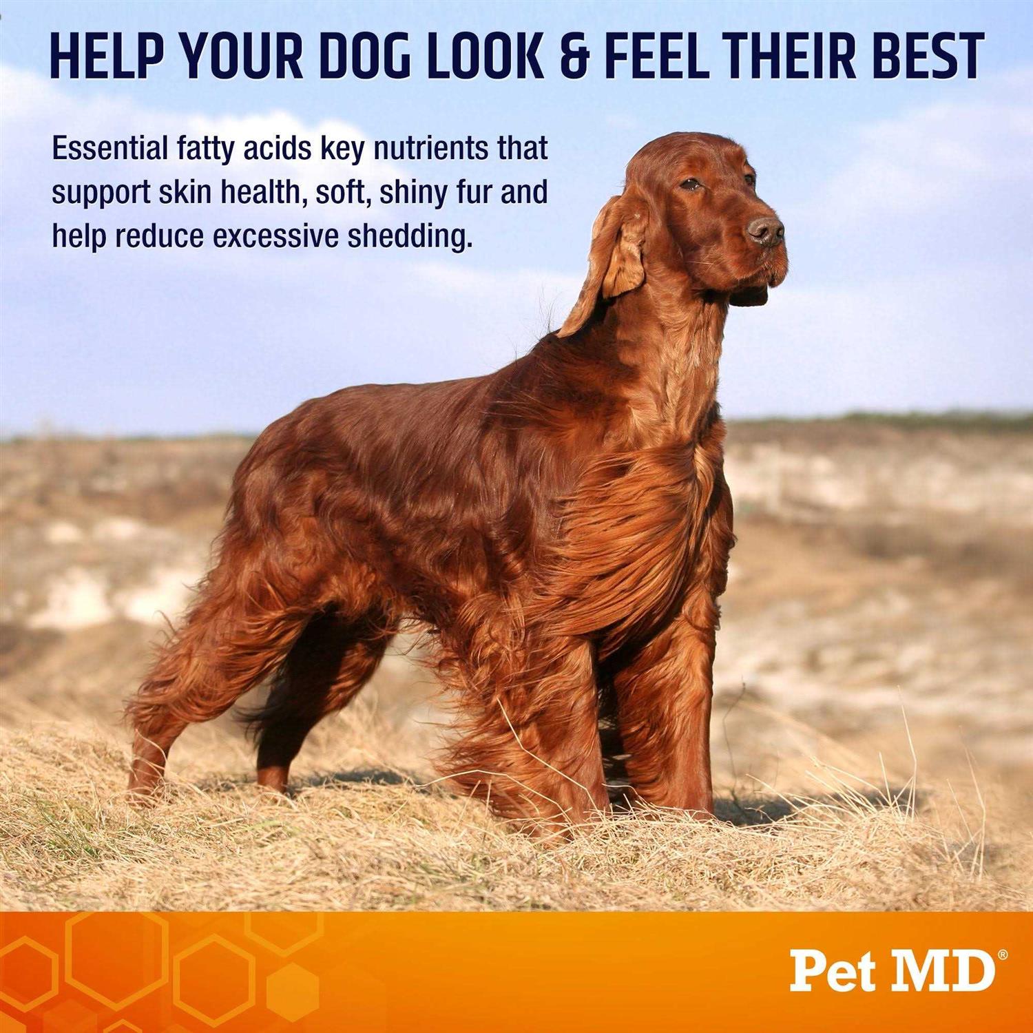 Alternative view of Pet MD Salmon Omega Soft Chew Bites for Dogs 120ct